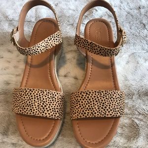 J CREW Leopard calf hair espadrilles
